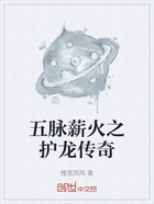 五脉薪火之护龙传奇在线阅读