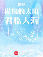 海贼:傲慢的太阳!君临大海!在线阅读