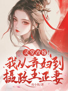 灵堂改嫁!我从弃妇到摄政王正妻在线阅读