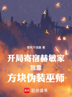 开局寄宿赫敏家我靠方块伪装巫师在线阅读