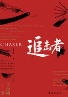 追击者在线阅读