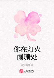 你在灯火阑珊处