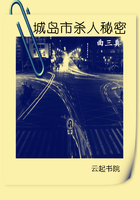 城島市殺人秘密在線閱讀