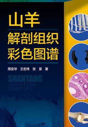 山羊解剖组织彩色图谱在线阅读