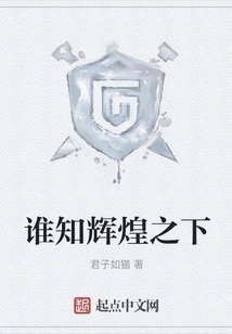 誰知輝煌之下