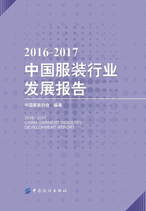 2016-2017中國服裝行業發展報告