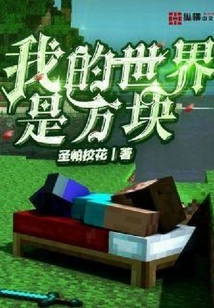 我的世界是方塊