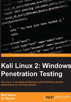 Kali Linux 2：Windows Penetration Testing