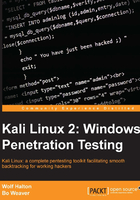 Kali Linux 2：Windows Penetration Testing在线阅读