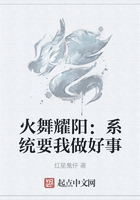火舞耀阳：系统要我做好事在线阅读