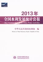 2013年全国水利发展统计公报=2013 Statistic Bulletin on China Water Activities在线阅读