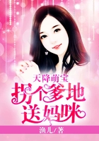 天降萌宝:拐个爹地送妈咪在线阅读
