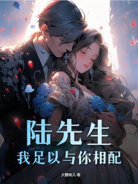 陆先生,我足以与你相配在线阅读