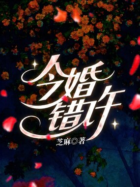 今婚错许在线阅读