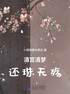 清宫清梦还珠无殇在线阅读