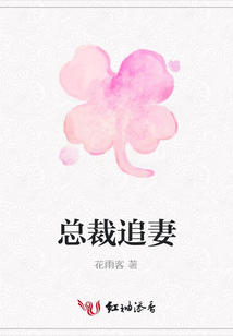 總裁追妻