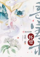 懷璧尋寶錄在線閱讀