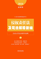 侵权责任法及司法解释新编（含请示答复及指导案例）（2019年版）