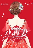 重生九零小悍妻在線閱讀