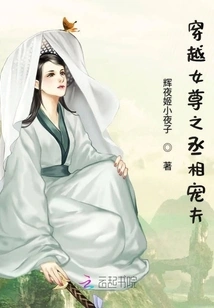 穿越女尊之丞相宠夫