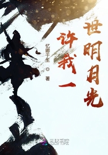 許我一世明月光