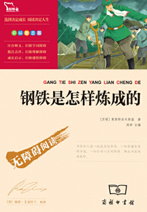 鋼鐵是怎樣煉成的