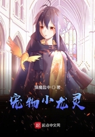 養龍后我怎么就這么頂在線閱讀