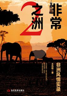 非常之洲2：非洲風情實錄
