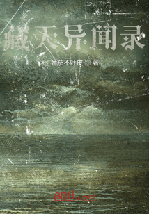 藏天異聞錄