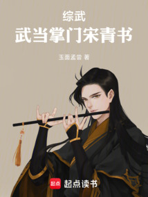 综武:武当掌门宋青书