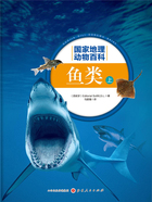 鱼类:上(国家地理动物百科)在线阅读