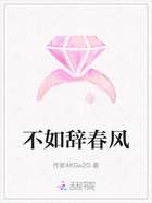 不如辞春风在线阅读