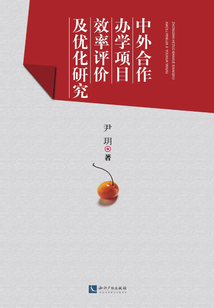 中外合作辦學項目效率評價及優化研究