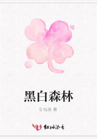 黑白森林在線閱讀
