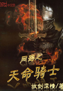 網游之天命騎士