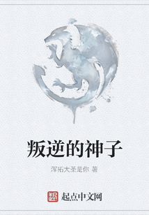 叛逆的神子