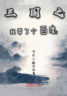 三國之我帶了個百度