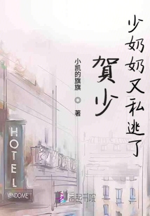 賀少夫人又私奔了