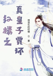 红楼之真皇子贾环
