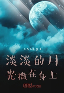 淡淡的月光撒在身上