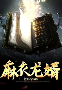 麻衣龍婿