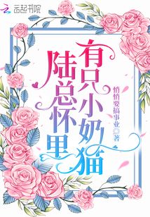 陸總懷里有只小奶貓