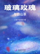 玻璃玫瑰與白山茶在線閱讀