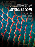 鱼类:硬骨鱼·辐鳍鱼(国家地理动物百科全书)在线阅读