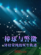 棒球与警徽：泽村荣纯的双生轨迹在线阅读
