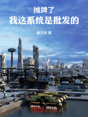 摊牌了，我这系统是批发的在线阅读