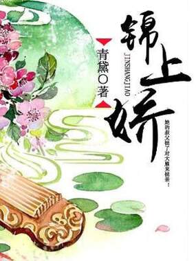 锦上娇在线阅读