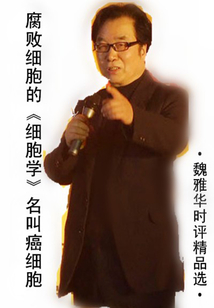魏雅華時評精品選