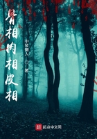骨相肉相皮相在线阅读