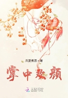 掌中歡顏在線閱讀